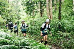 BIB: 
                            <button type="button" onclick="openModal(26369921)" class="btn btn-primary btn-sm float-right btn-popup" data-toggle="modal" data-target=".modal-high-quality">
                        <i class="fas fa-shopping-cart"></i> Add to Cart
                    </button>
                                            <button type="button" onclick="isThisMe(26369921, true)" class="btn btn-success btn-sm float-right btn-popup btn-isme hidden" data-toggle="tooltip" data-placement="bottom" title="นี่คือรูปของคุณใช่ไหม คลิกที่นี่เพื่อเอาเข้าอัลบั้ม">
                        <i class="fas fa-plus"></i> Add to album
                    </button>
                    <button type="button" onclick="isThisMe(26369921, false)" class="btn btn-warning btn-sm float-right btn-popup btn-isnotme hidden">
                        <i class="fas fa-ban"></i> Remove from album
                    </button>